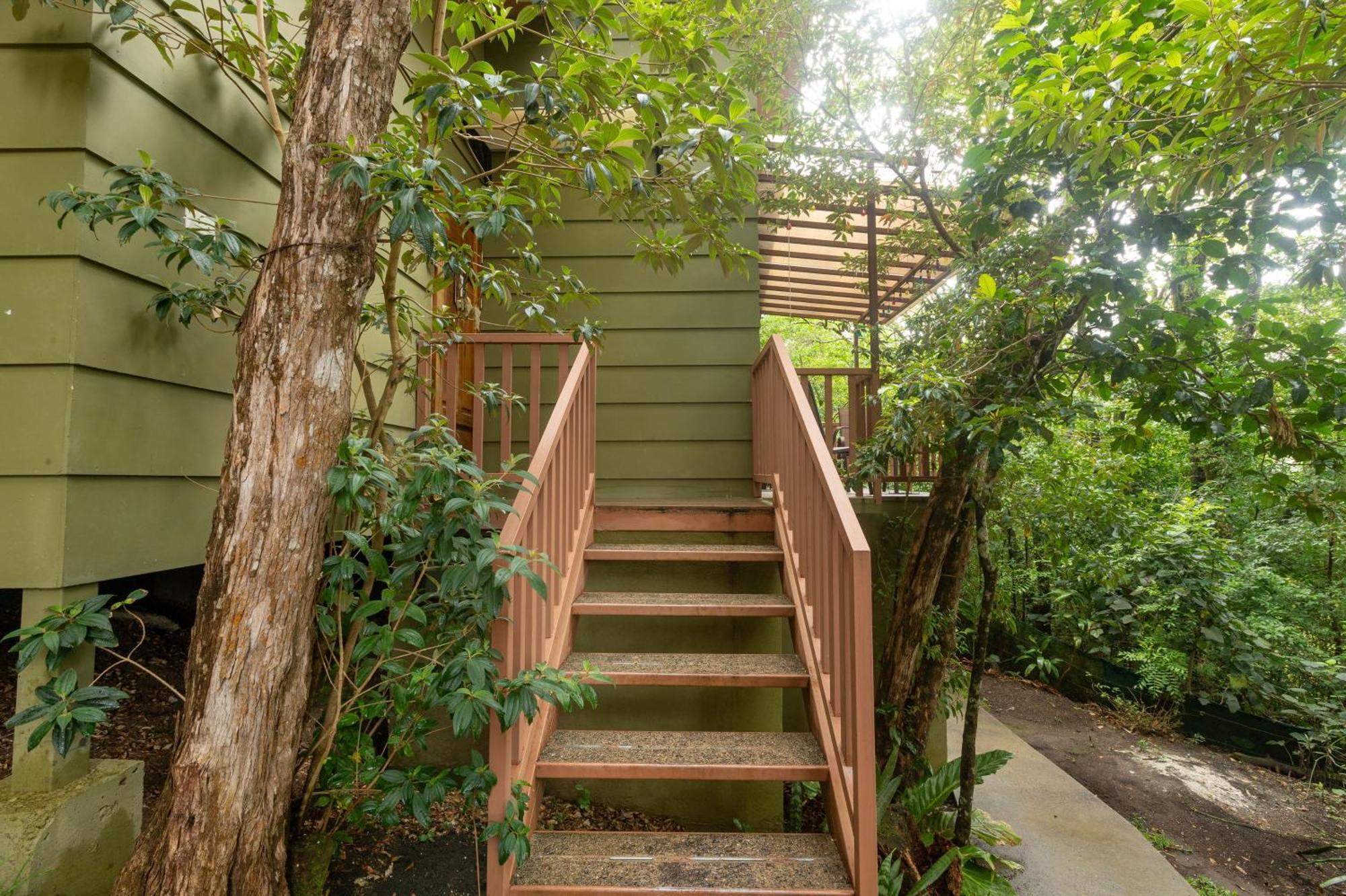 Casas Clusia Monteverde Exterior foto